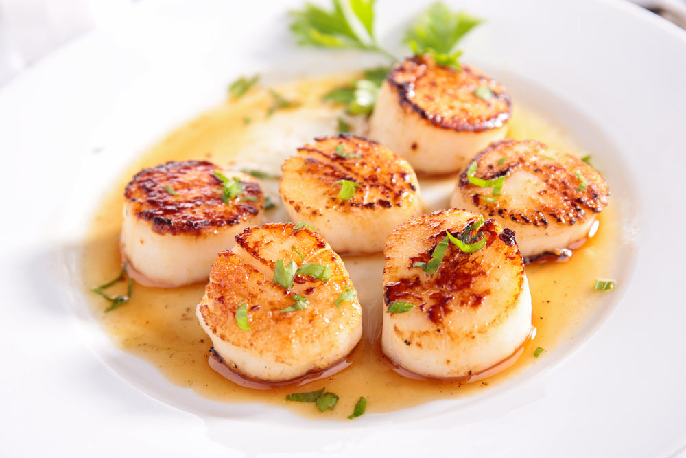 Seared Scallops with Jalapeno & Citrus Vinaigrette