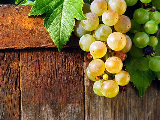 Balsamico Bianco White Balsamic