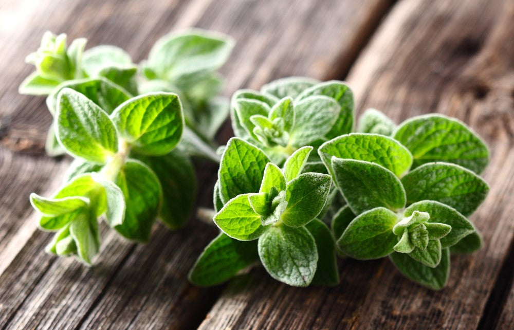 Santorini Oregano White Balsamic