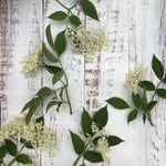 Elderflower White Balsamic Vinegar