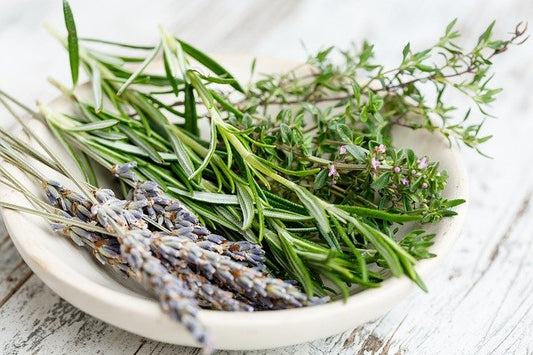 Herbes de Provence Infused Olive Oil