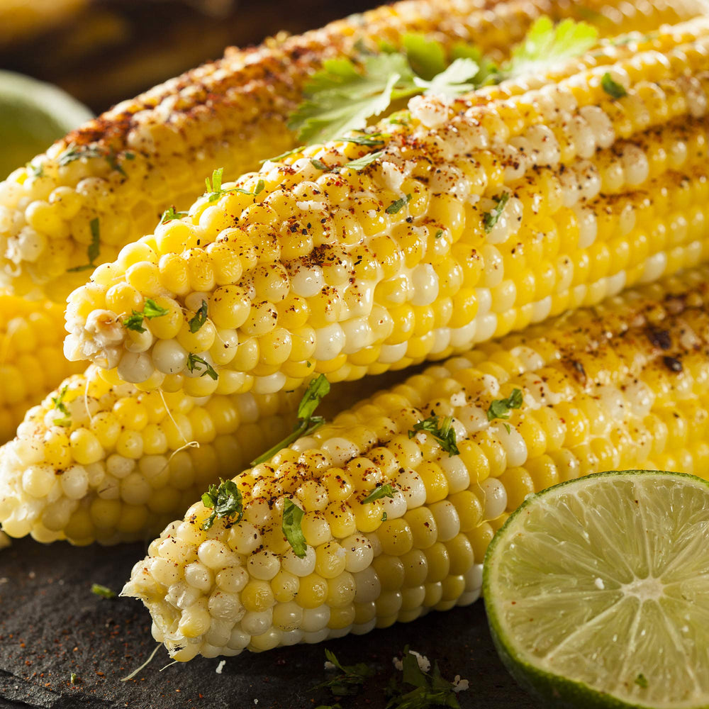 The Spice Lab Street Corn Seasoning