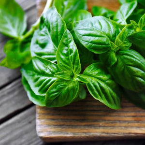 Basil Agrumato Olive Oil