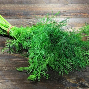 Dill Infused Olive Oil