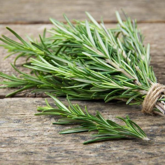 Rosemary Infused Olive Oil