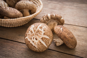 Shiitake Mushroom Agrodolce