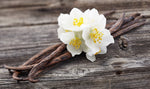 Madagascar Vanilla White Balsamic